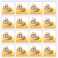 Pets Bundle - Adopt Me