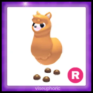 R Alpaca
