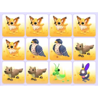 Pets Bundle - Adopt Me