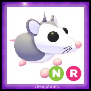 NR Possum