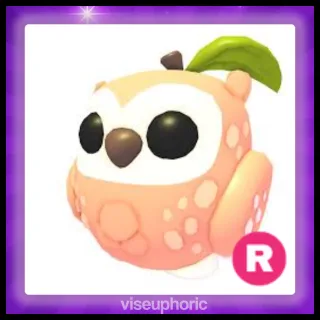 R Peach Owl