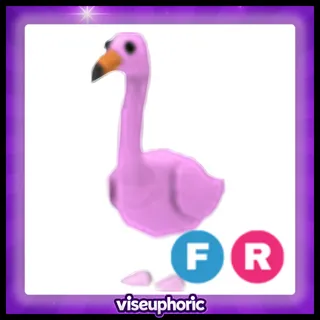 FR Flamingo