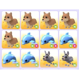 Pets Bundle - Adopt Me