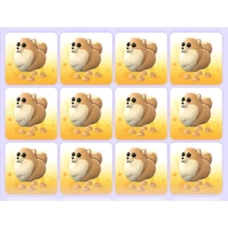 Pets Bundle - Adopt Me