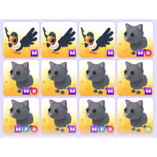 Pets Bundle - Adopt Me