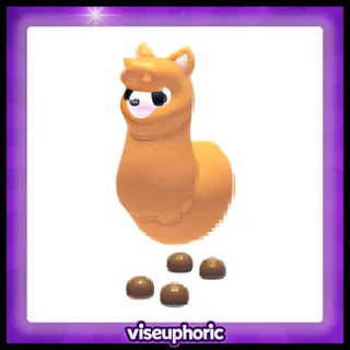 Alpaca