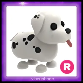 R Dalmatian