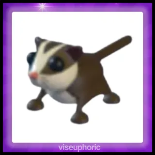 Sugar Glider