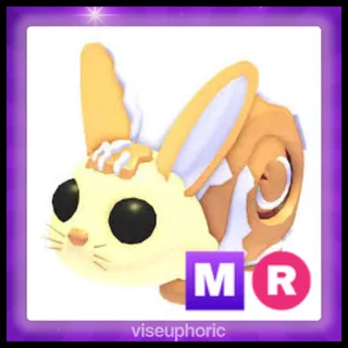 MR Bunny Swirl