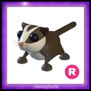 R Sugar Glider