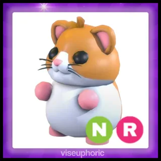 NR Hamster
