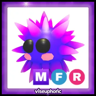 MFR Urchin  
