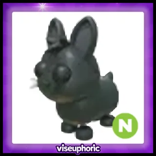 Neon Amami Rabbit