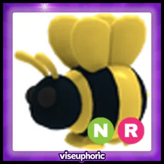 NR King Bee