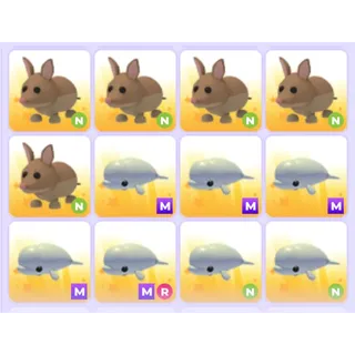 Pets Bundle - Adopt Me