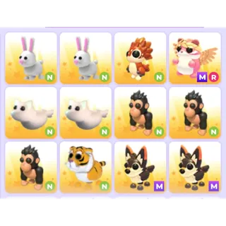 Pets Bundle - Adopt Me
