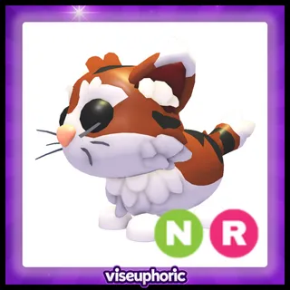 NR Munchkin Cat