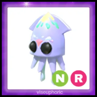 NR Squid 