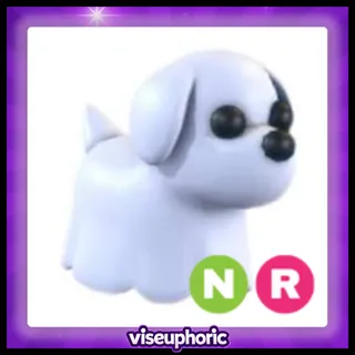 NR Ghost Dog 