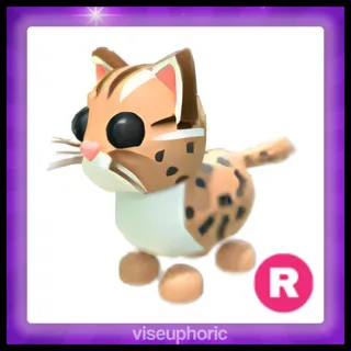 R Leopard Cat