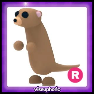 R Meerkat