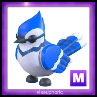 Mega Blue Jay