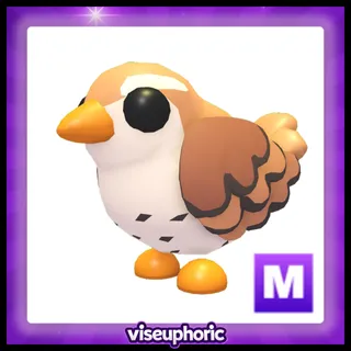 Mega Wren