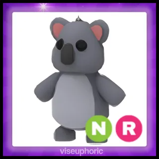 NR Koala