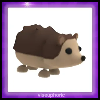 Hedgehog