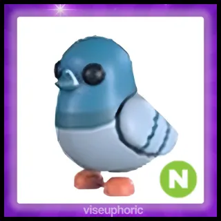 Neon Rock Pigeon