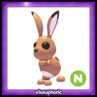 Neon Hare