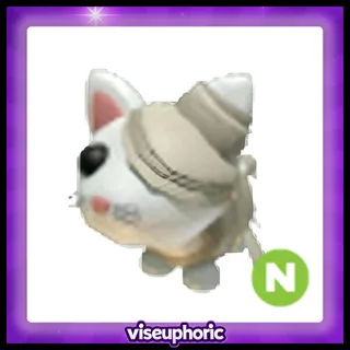 Neon White Mummy Cat