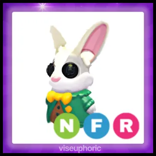 NFR Mr. Whiskerpips