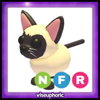 NFR Siamese Cat 
