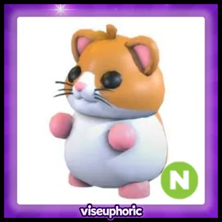 Neon Hamster