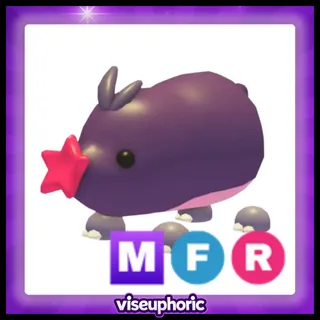 MFR Mole
