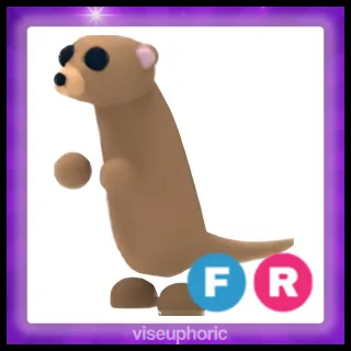 FR Meerkat