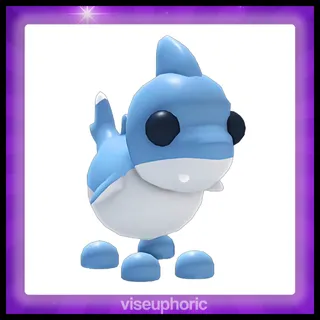 Shark Puppy