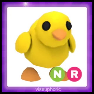 NR Chick