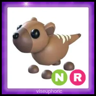 NR Borhyaena Gigantica