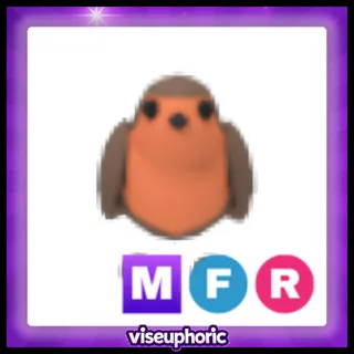 MFR Robin 