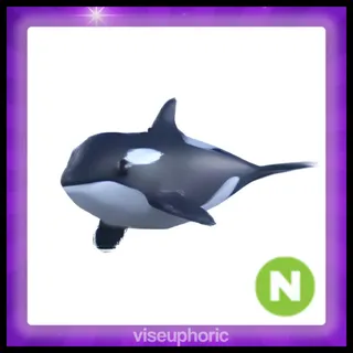 Neon Orca