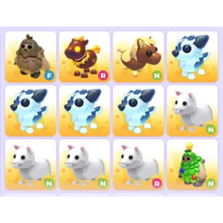 Pets Bundle - Adopt Me