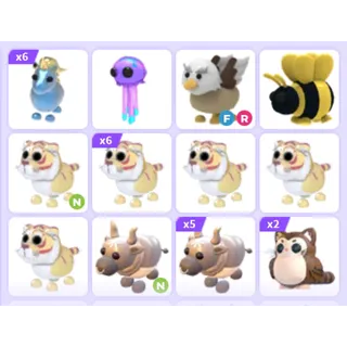 Pets Bundle - Adopt Me