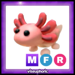 MFR Axolotl 