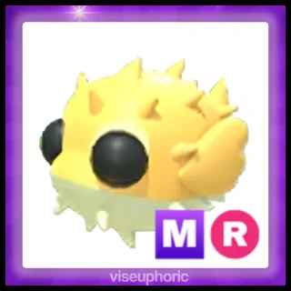 MR Puffer Fish