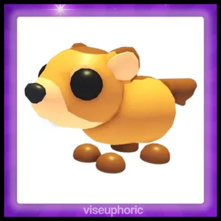 Groundhog