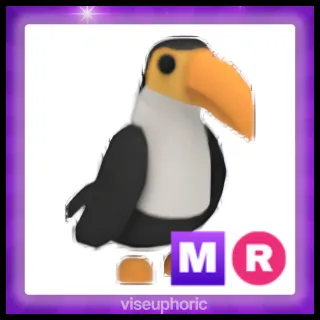 MR Toucan