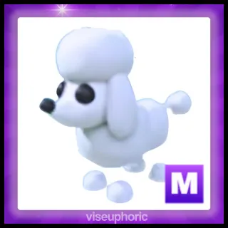 Mega Poodle