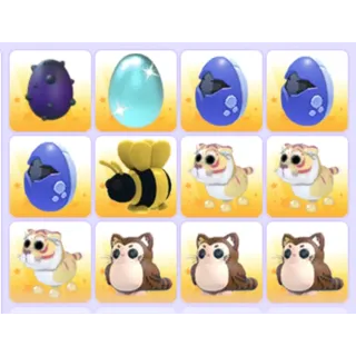 Pets Bundle - Adopt Me
